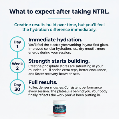 NTRL Creatine + Electrolytes